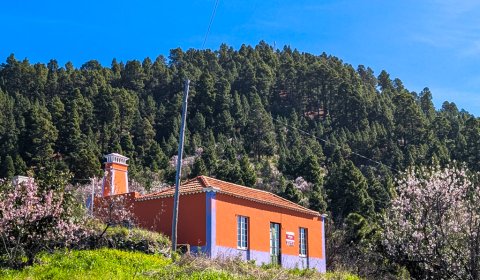 landhaus-las-tricias-la-palma