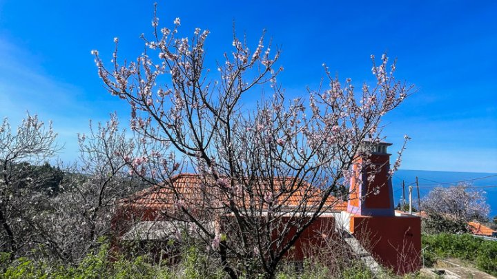 Landhaus mit schönem Grundstück in Las Tricias