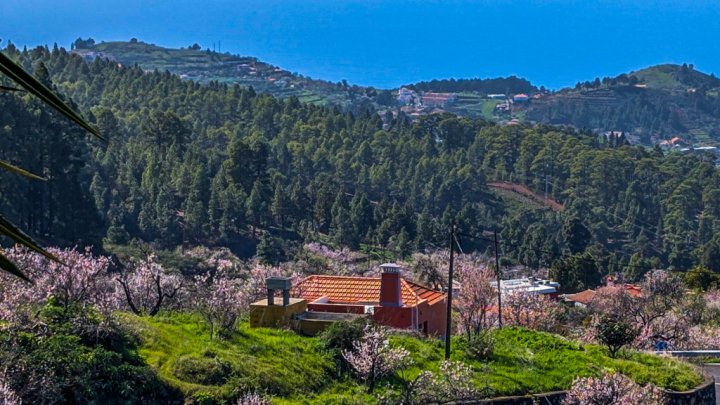 Landhaus mit schönem Grundstück in Las Tricias