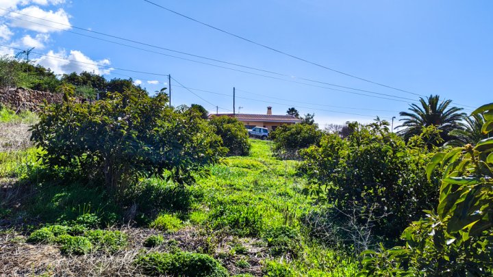 Casa Canaria con Tres Estudios y Múltiples Posibilidades en Tinizara