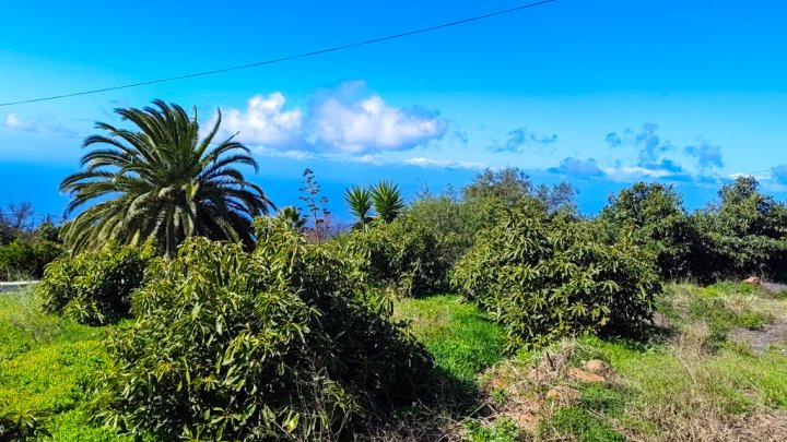 Casa Canaria con Tres Estudios y Múltiples Posibilidades en Tinizara