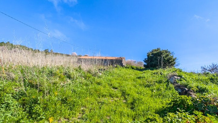 Move-In Ready Country House with Guest House and Atlantic Views in Garafía