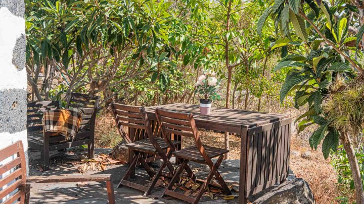 Canarian Estate with Sea Views and Development Potential in La Punta
