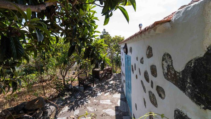 Canarian Estate with Sea Views and Development Potential in La Punta