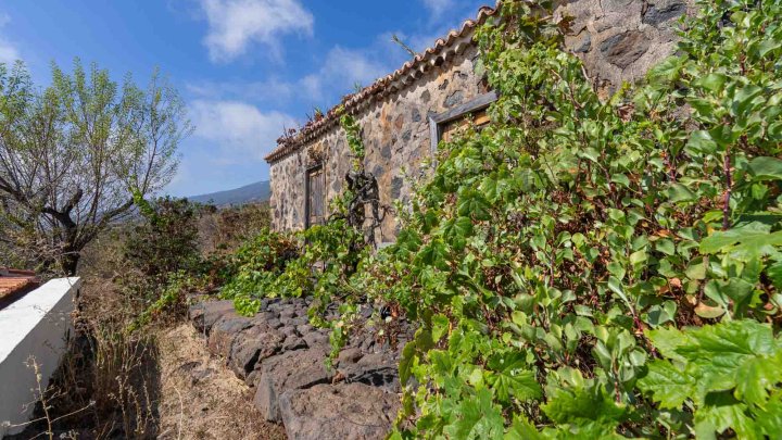Canarian Estate with Sea Views and Development Potential in La Punta