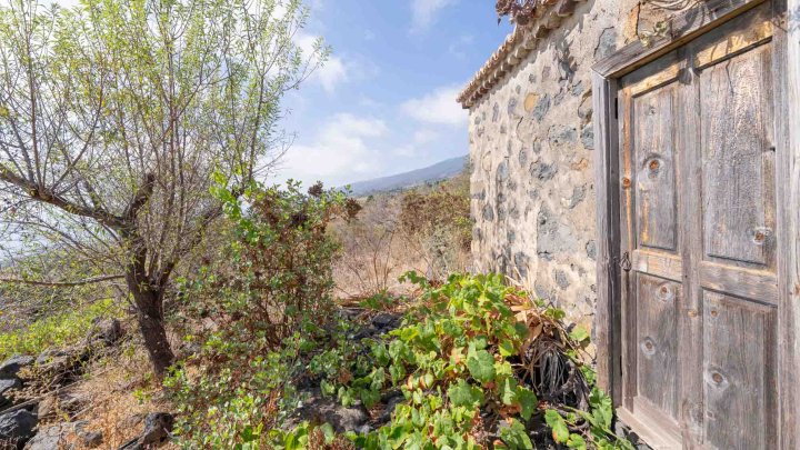 Canarian Estate with Sea Views and Development Potential in La Punta