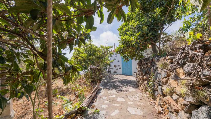 Canarian Estate with Sea Views and Development Potential in La Punta