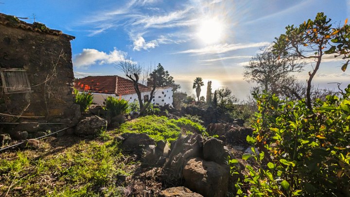 Canarian Estate with Sea Views and Development Potential in La Punta