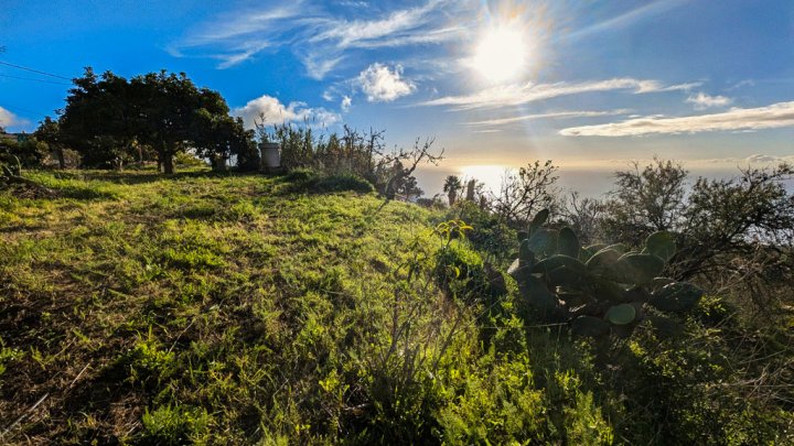 Canarian Estate with Sea Views and Development Potential in La Punta