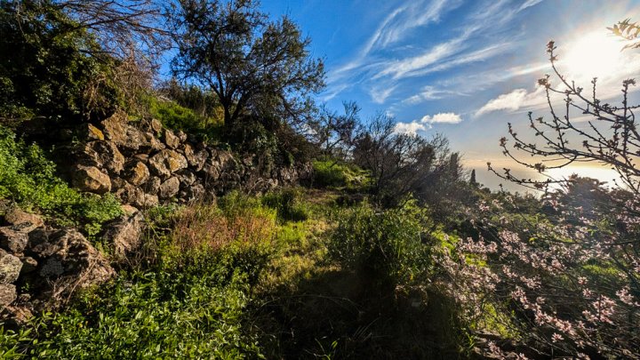 Canarian Estate with Sea Views and Development Potential in La Punta