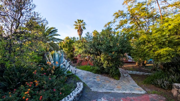 Apartmentanlage mit Pool, tropischem Garten und Meerblick in Las Manchas