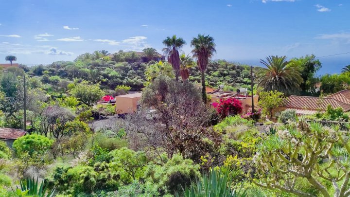 Apartmentanlage mit Pool, tropischem Garten und Meerblick in Las Manchas