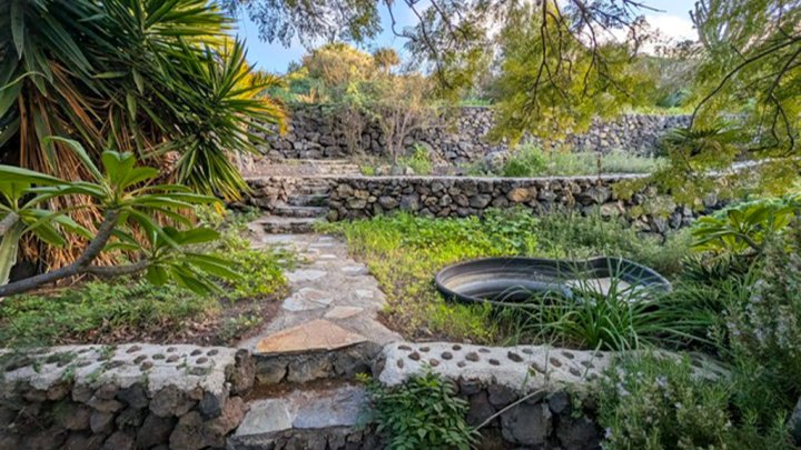 Apartmentanlage mit Pool, tropischem Garten und Meerblick in Las Manchas