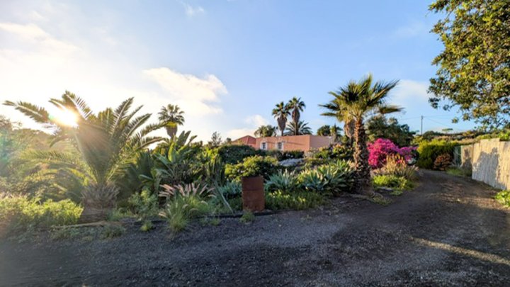 Apartmentanlage mit Pool, tropischem Garten und Meerblick in Las Manchas