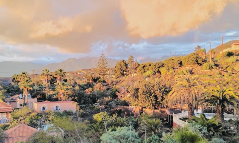 Apartmentanlage mit Pool, tropischem Garten und Meerblick in Las Manchas