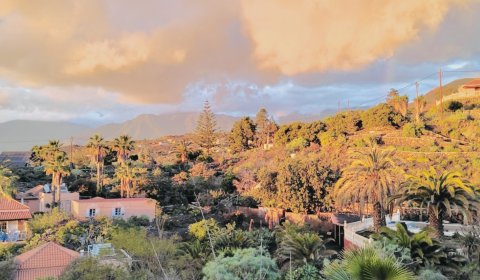 apartmentanlage-las-manchas-la-palma
