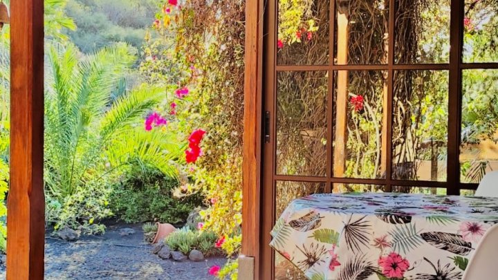 Apartmentanlage mit Pool, tropischem Garten und Meerblick in Las Manchas