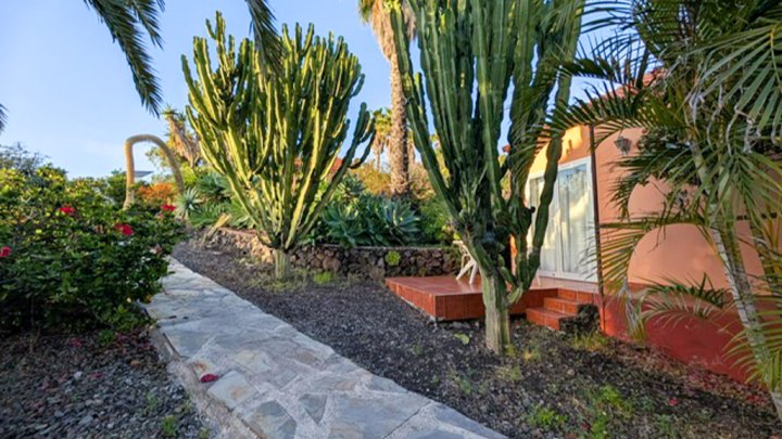 Apartmentanlage mit Pool, tropischem Garten und Meerblick in Las Manchas