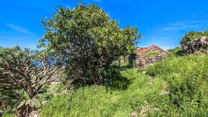 Canarian Property Ensemble with Sea Views and Large Plot in Garafía