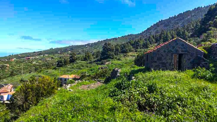 Canarian Property Ensemble with Sea Views and Large Plot in Garafía