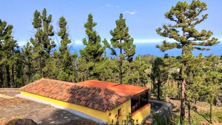 Canarian Country House with Large Plot in Las Tricias