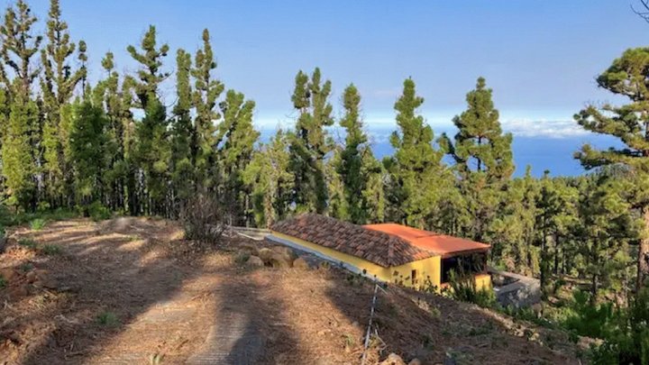 Canarian Country House with Large Plot in Las Tricias