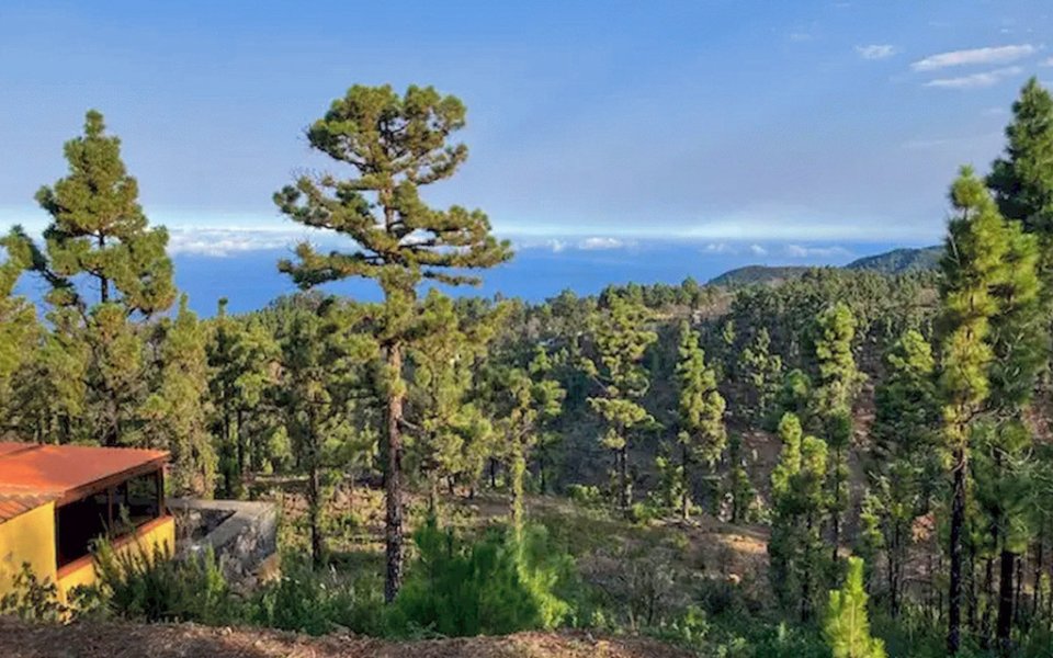 landhaus-las-tricias-la-palma_L445 (2)