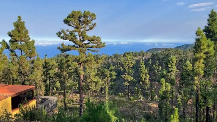 Canarian Country House with Large Plot in Las Tricias