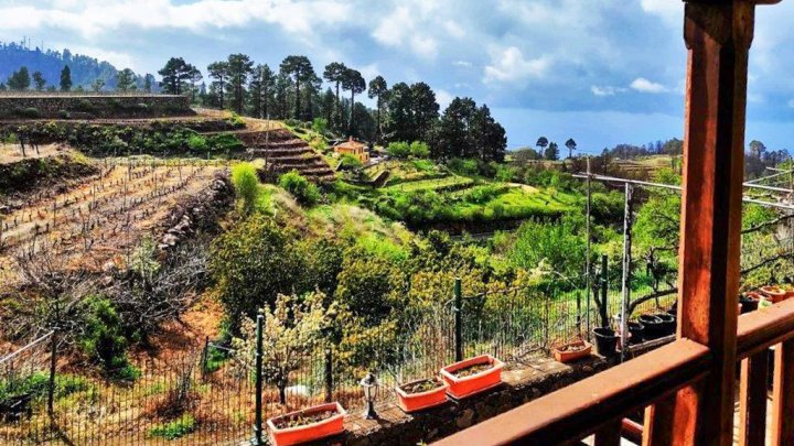Canarian Winery Estate with Sea Views and Vineyard in Garafía