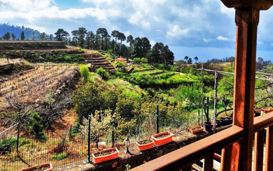 weingut-garafia-la-palma_L285 (1)