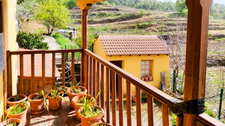 Canarian Winery Estate with Sea Views and Vineyard in Garafía