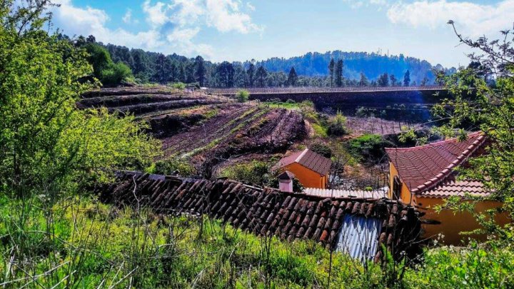 Canarian Winery Estate with Sea Views and Vineyard in Garafía