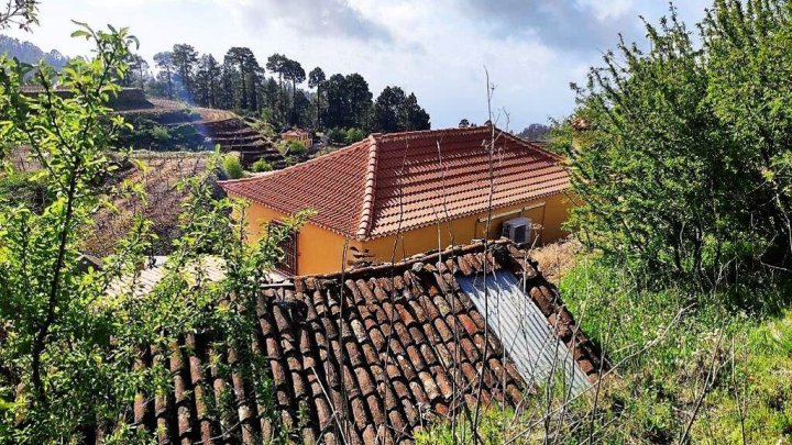 Canarian Winery Estate with Sea Views and Vineyard in Garafía