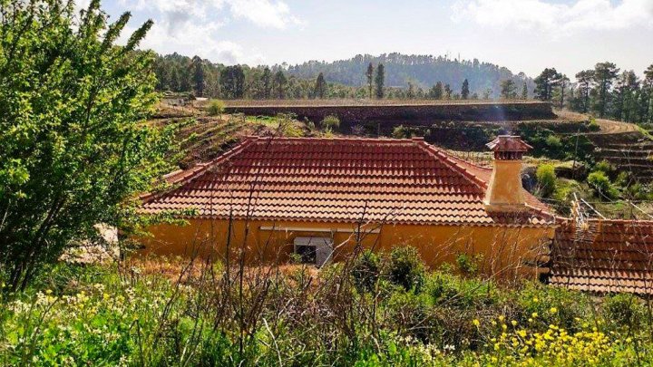 Canarian Winery Estate with Sea Views and Vineyard in Garafía