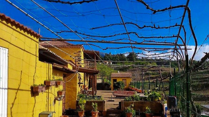 Canarian Winery Estate with Sea Views and Vineyard in Garafía