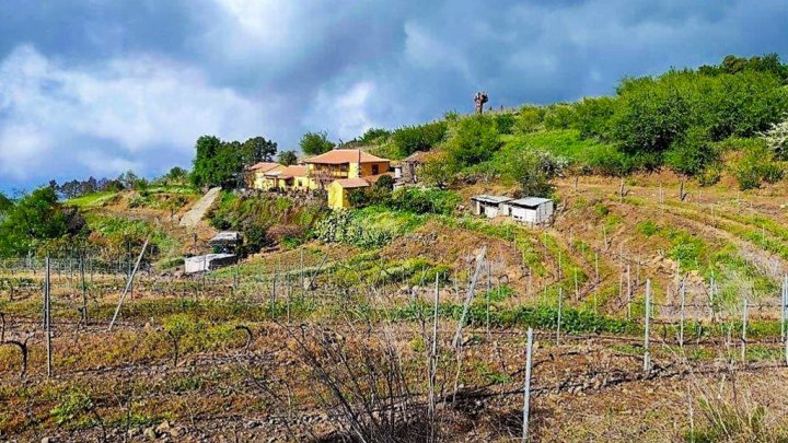 Canarian Winery Estate with Sea Views and Vineyard in Garafía