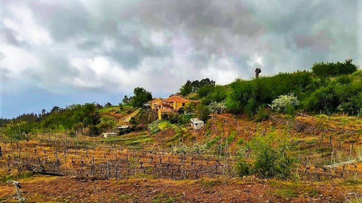 Canarian Winery Estate with Sea Views and Vineyard in Garafía