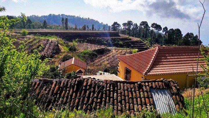 Canarian Winery Estate with Sea Views and Vineyard in Garafía