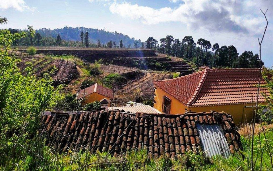 weingut-garafia-la-palma_L285 (3)
