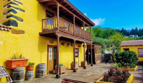 weingut-garafia-la-palma_L285 (4)