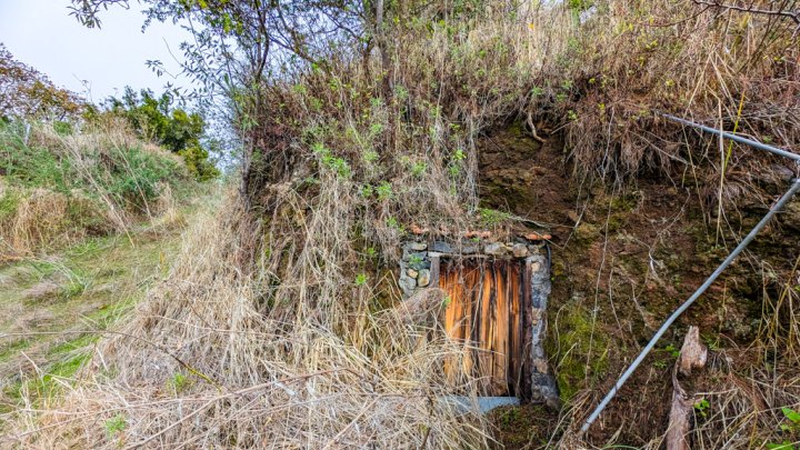 Naturfinca mit Cueva und großem Grundstück in Garafía