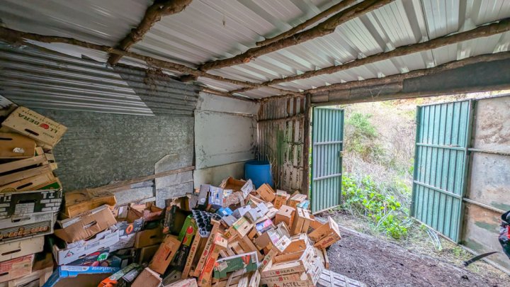 Naturfinca mit Cueva und großem Grundstück in Garafía