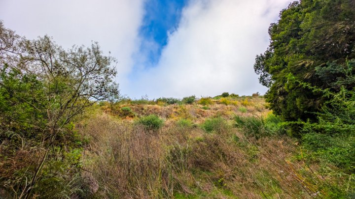 Naturfinca mit Cueva und großem Grundstück in Garafía