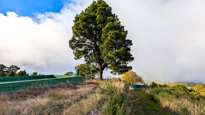 Naturfinca mit Cueva und großem Grundstück in Garafía