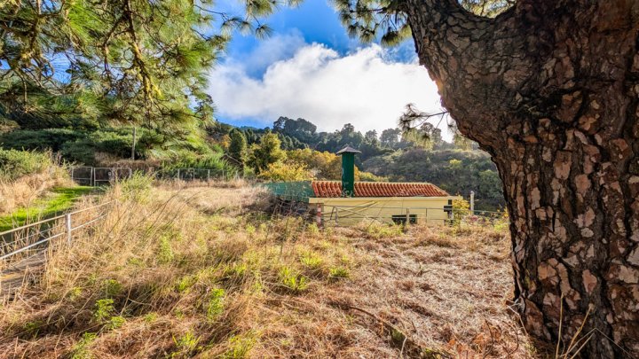 Naturfinca mit Cueva und großem Grundstück in Garafía