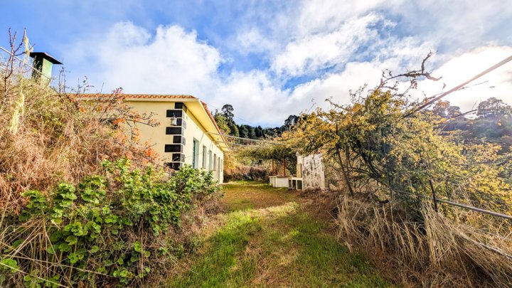 Naturfinca mit Cueva und großem Grundstück in Garafía