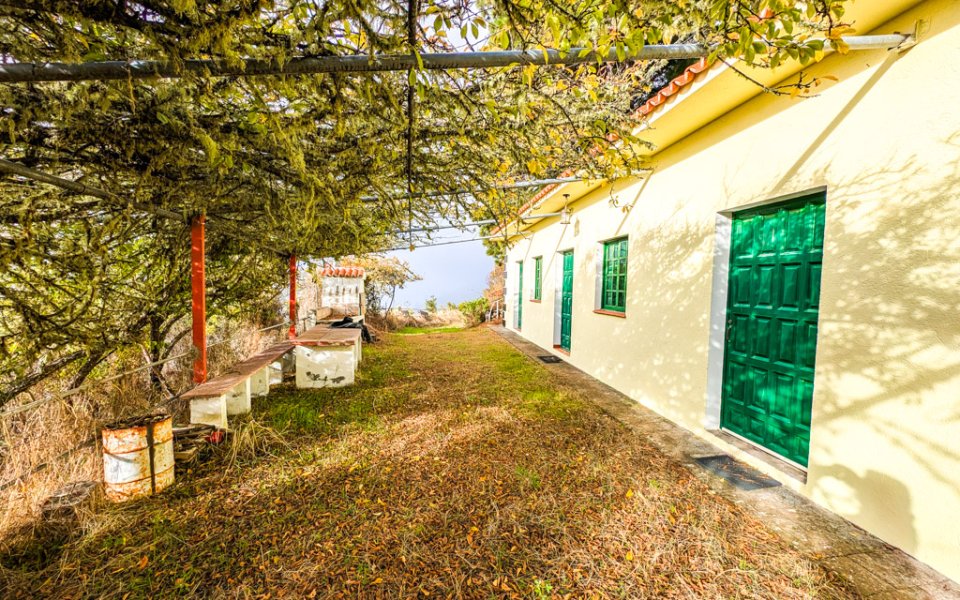 finca-garafia-la-palma_L830 (3)