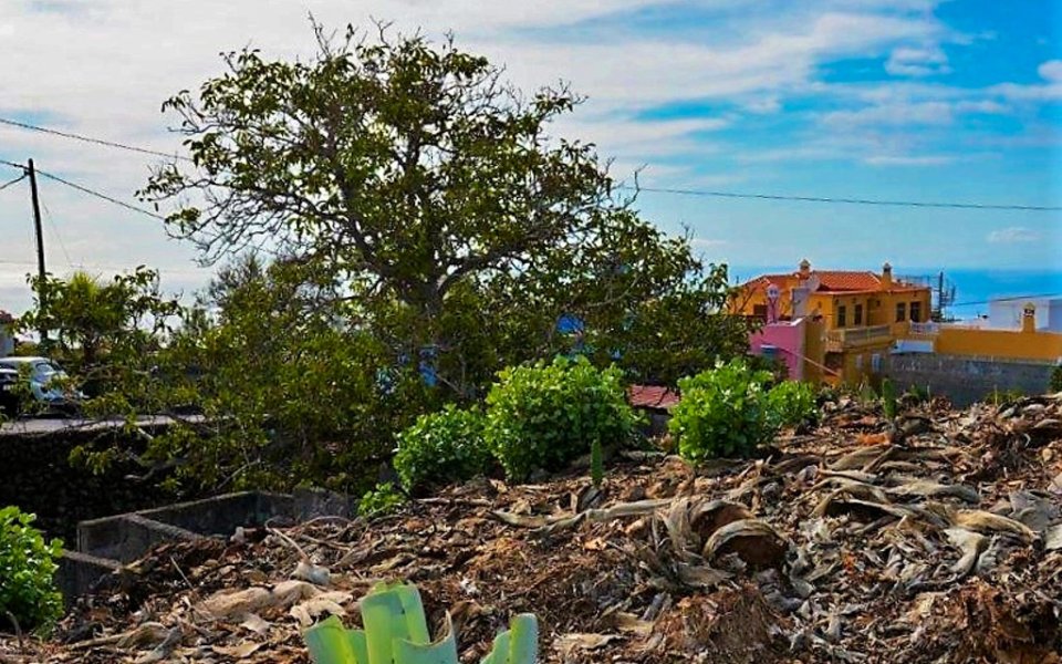 Baugrundstück mit Entwicklungspotenzial in El Paso auf La Palma.