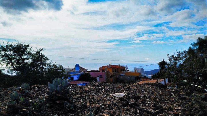 Baugrundstück mit kanarischem Altbestand und Meerblick in El Paso