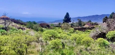 Baugrundstück mit Meerblick in bevorzugter Wohnlage von El Paso auf La Palma (1)